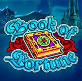 Логотип Book of Fortune