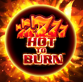 Логотип Hot to Burn Hold and Spin