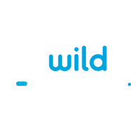 Логотип Wild Tornado